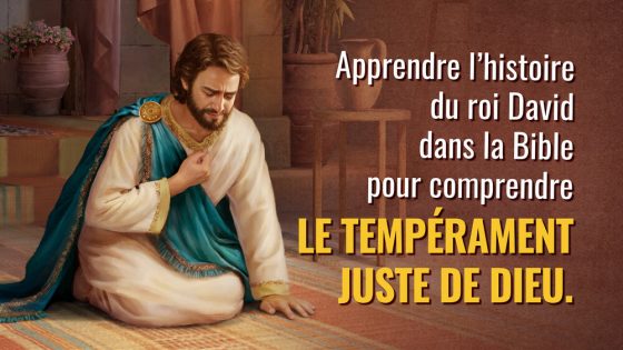 histoire du roi david dans la bible