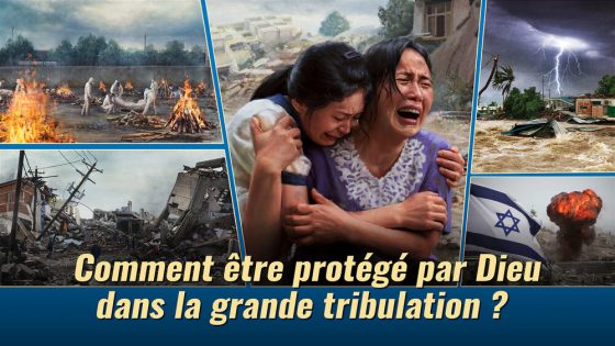 la grande tribulation